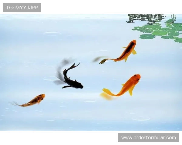 博鱼体育官方客户端下载安装指南，快速体验高清直播和多样化的体育娱乐功能